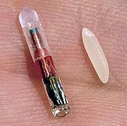 rfid rice